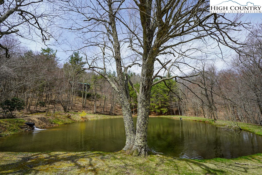 E-8 Fire Tower Road Boone, NC 28607 - Photo 13 of 25 a view of a lake with a large tree