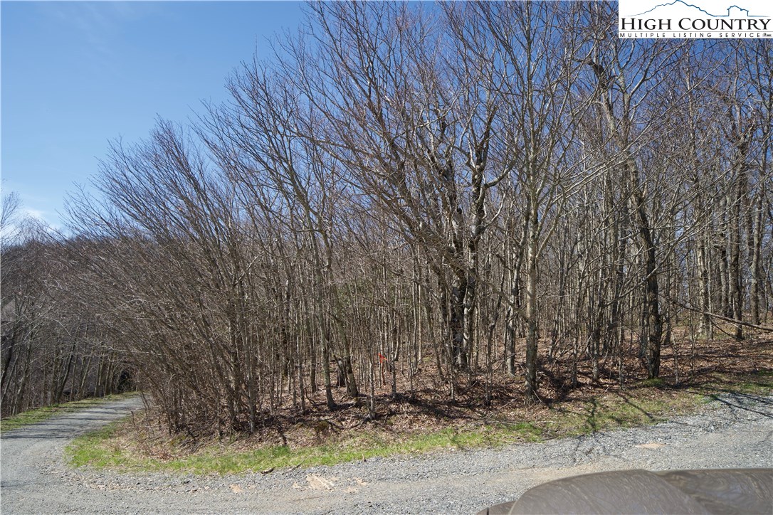 E-8 Fire Tower Road Boone, NC 28607 - Photo 5 of 25 a backyard of a house with lots of trees
