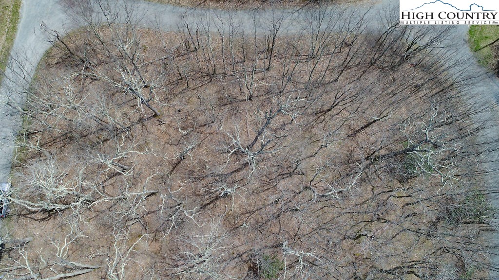 E-8 Fire Tower Road Boone, NC 28607 - Photo 7 of 25 a view of a dry yard with trees