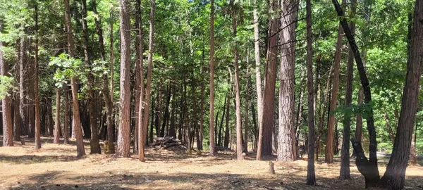 a view of a house with trees in the background