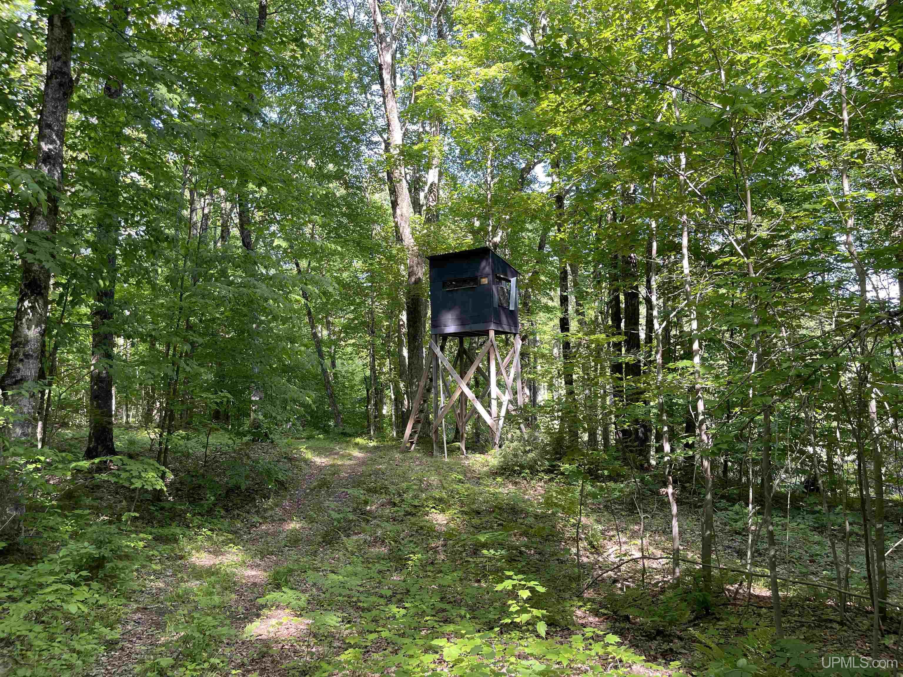 4702 North Banking Ground Road Germfask, MI 49836 - Photo 46 of 60