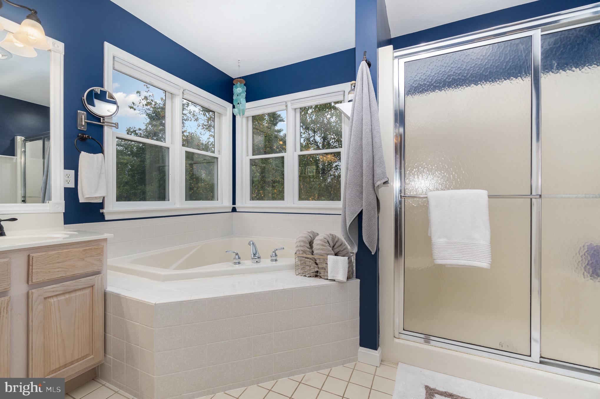 3545 Eagle Ridge Court Hanover, PA 17331 - Photo 26 of 61 Primary Bathroom