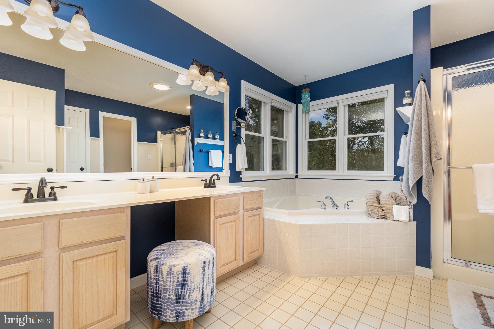 3545 Eagle Ridge Court Hanover, PA 17331 - Photo 27 of 61 Primary Bathroom