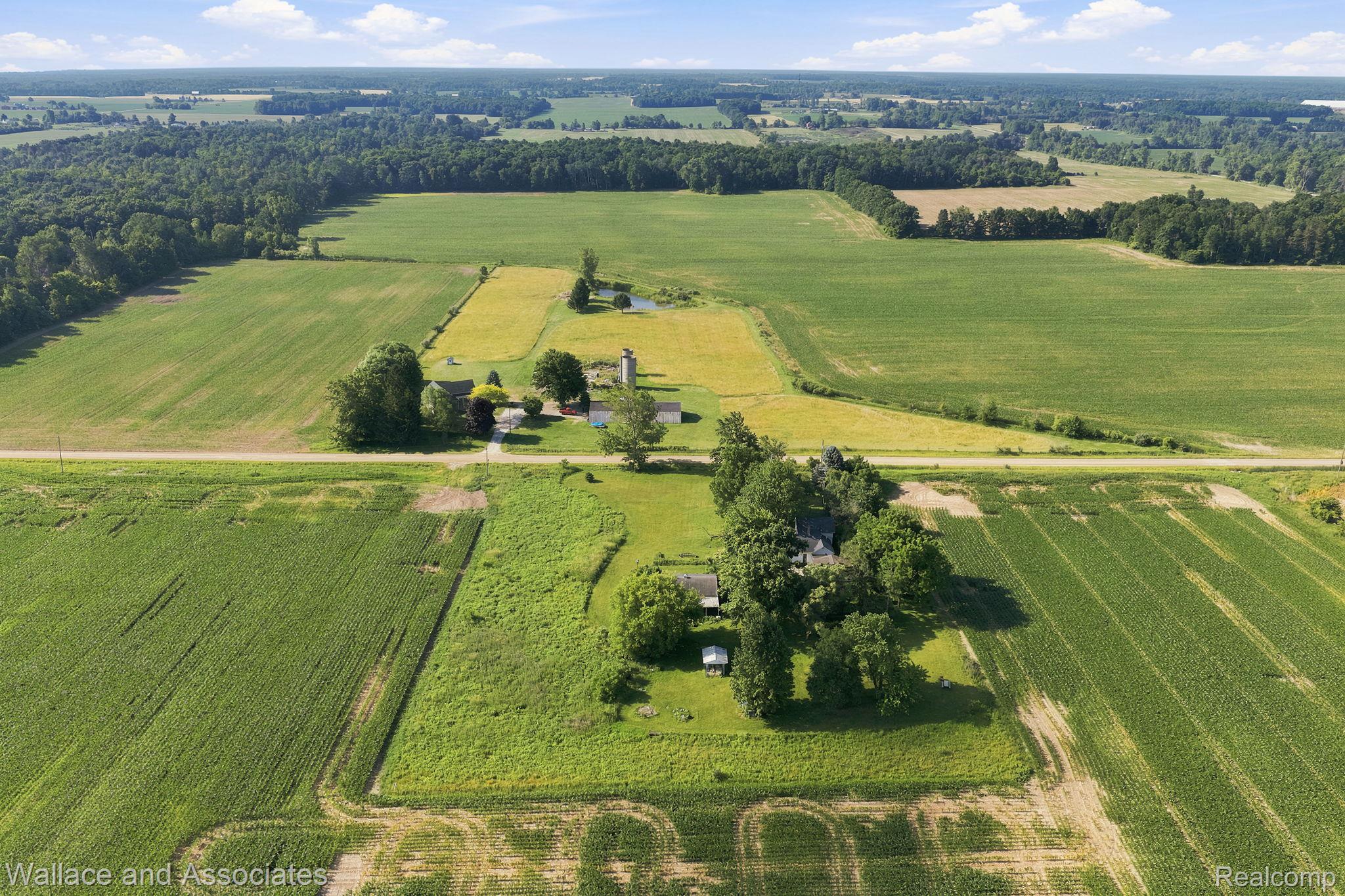 5949 Roach Road Croswell, MI 48422 - Photo 46 of 48 Expansive acreage featuring cultivated fields, mature tree lines, and a rural road
