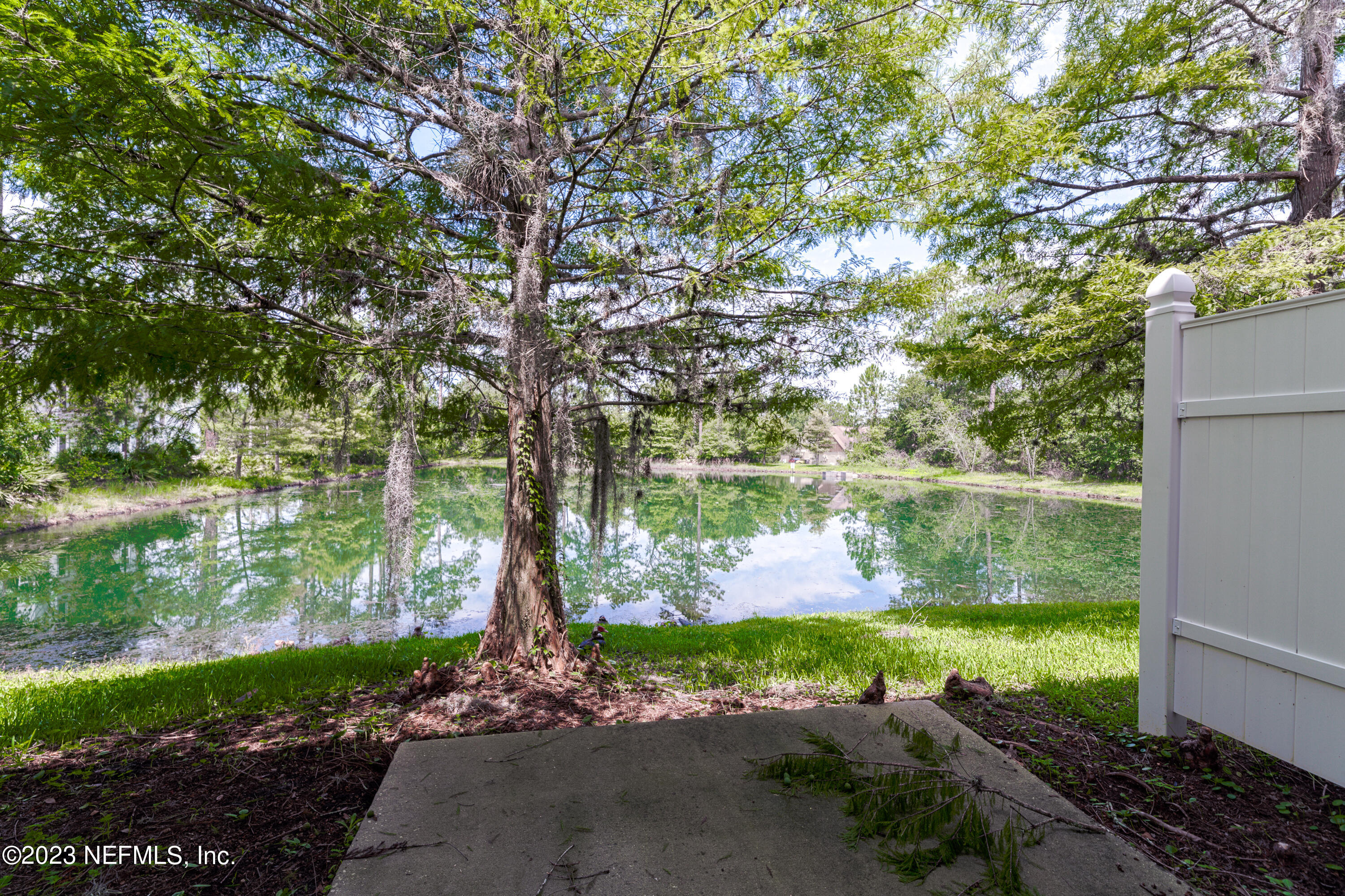 5260 Collins Road, Unit 1102 Jacksonville, FL 32244 - Photo 2 of 23 a large body of water with a tree