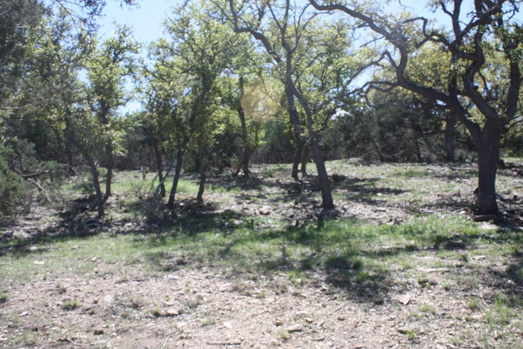 315 Lake Ridge Road Kerrville, TX 78028 - Photo 1 of 5 Gallery Image 1