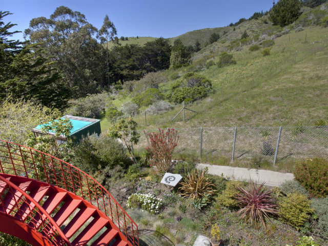 104 Nataqua Avenue Pacifica, CA 94044 - Photo 6 of 17 a view of a yard with a tree