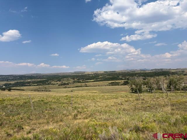 Lot H M44 Road Norwood, CO 81430 - Photo 6 of 22 Gallery Image 6