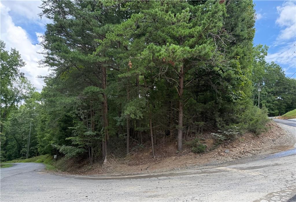 Lot 7 Stirratt Road Ranger, GA 30734 - Photo 6 of 20 Gallery Image 6