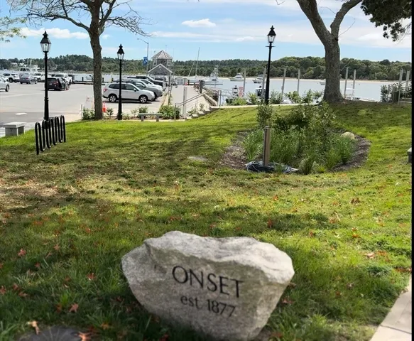 a view of a swimming pool with a garden