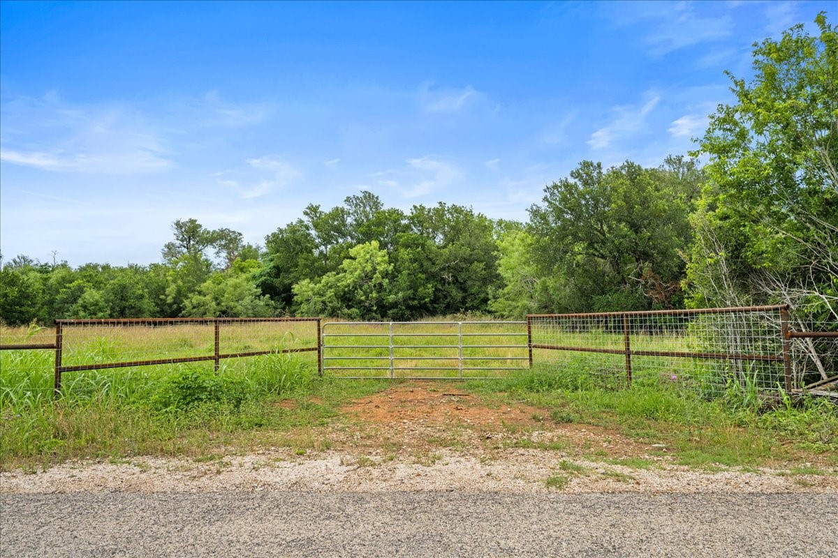 288 Charcoal Road Rosanky, TX 78953 - Photo 16 of 23 a view of a yard with a large trees