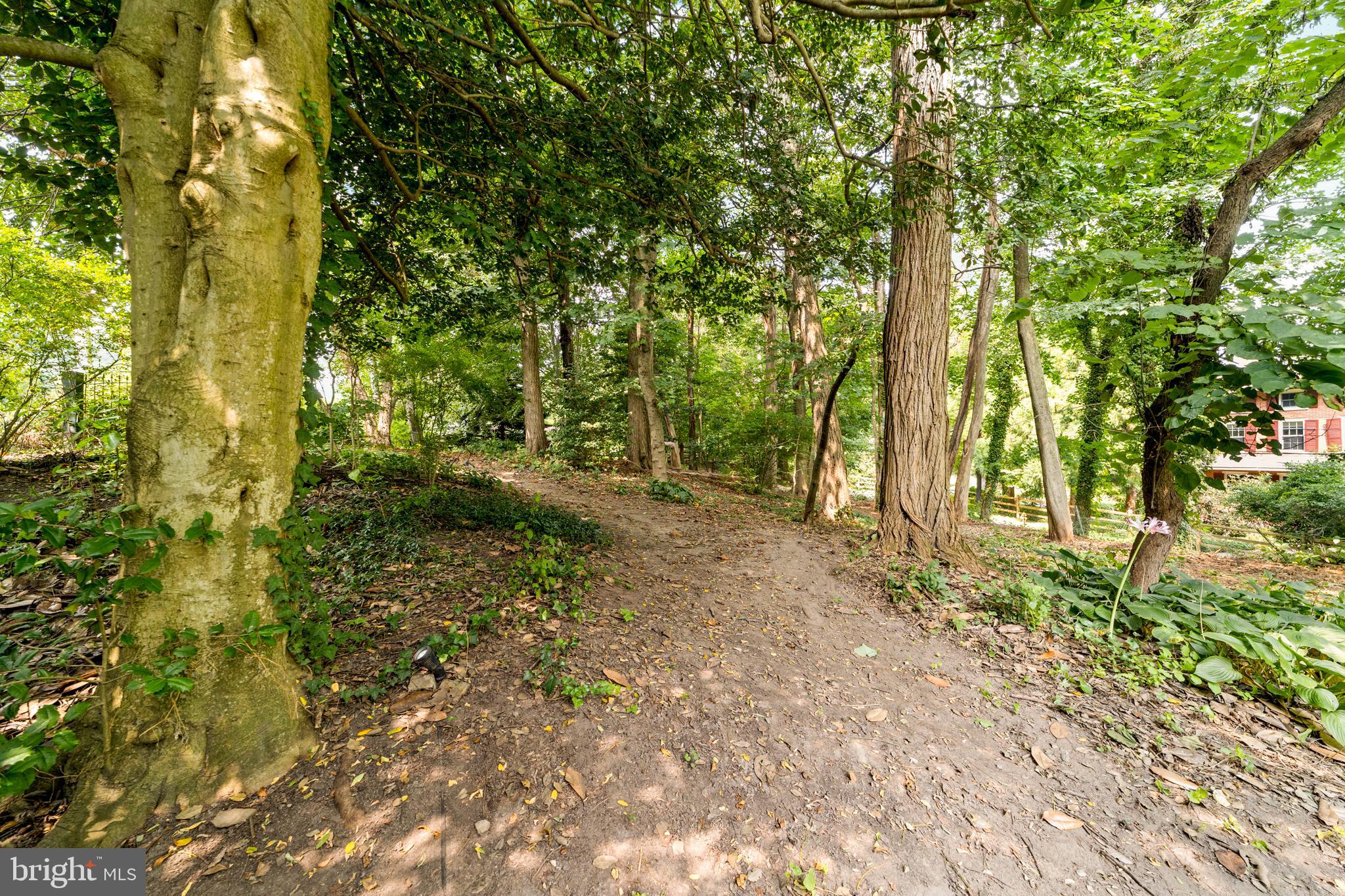 327 East Street Road Kennett Square, PA 19348 - Photo 36 of 41 a view of outdoor space and trees