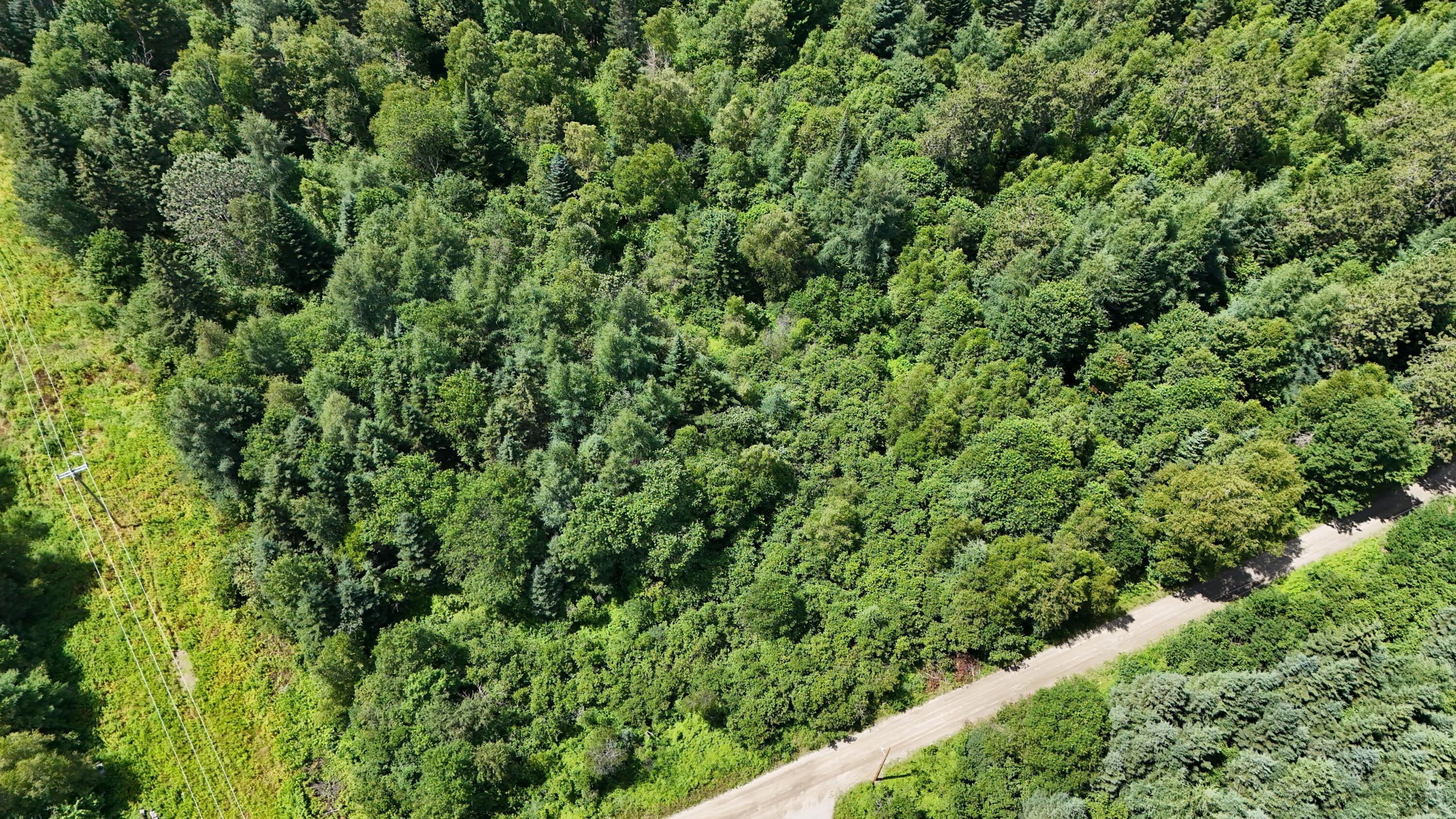 002 Map Stratton, ME 04982 - Photo 4 of 7 land