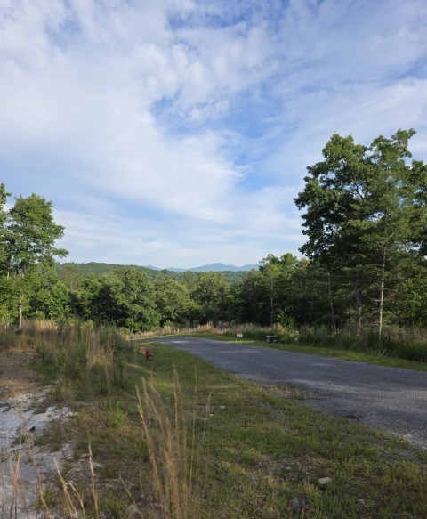 95 Ridgeline Lane Mineral Bluff, GA 30559 - Photo 35 of 73