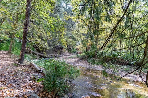 a view of an outdoor space with a tree