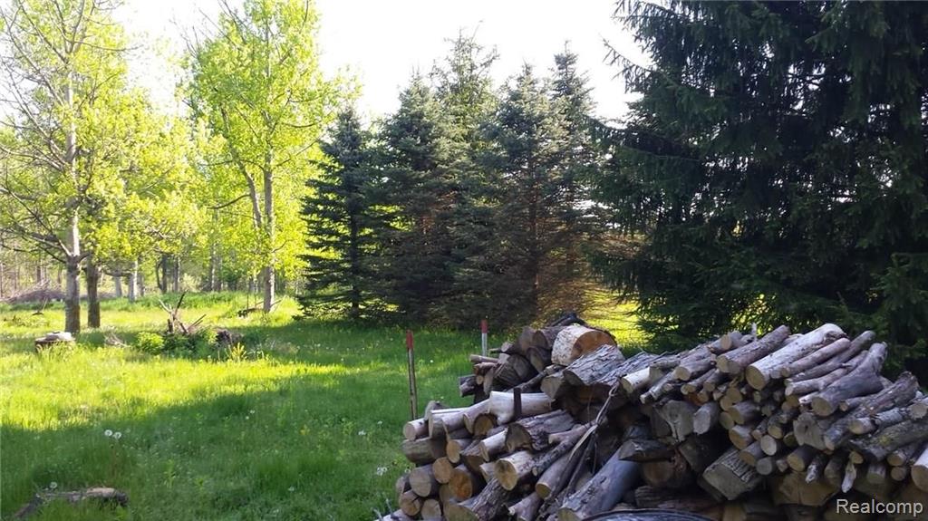 8984 Beard Road Avoca, MI 48006 - Photo 15 of 18