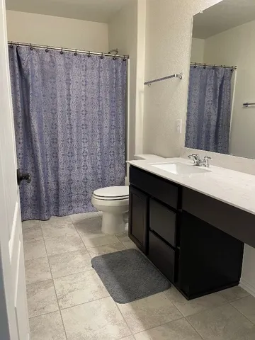 a bathroom with a sink a toilet a mirror and shower curtain