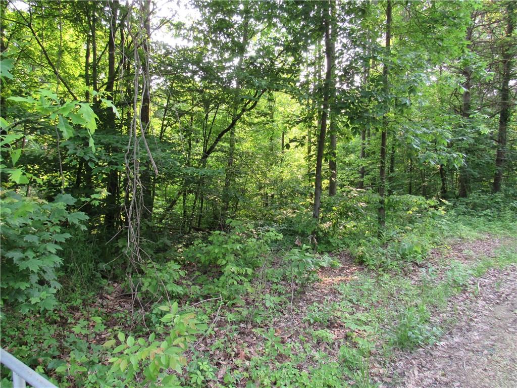 0 Rentscheler Road Spencer, IN 47460 - Photo 3 of 3