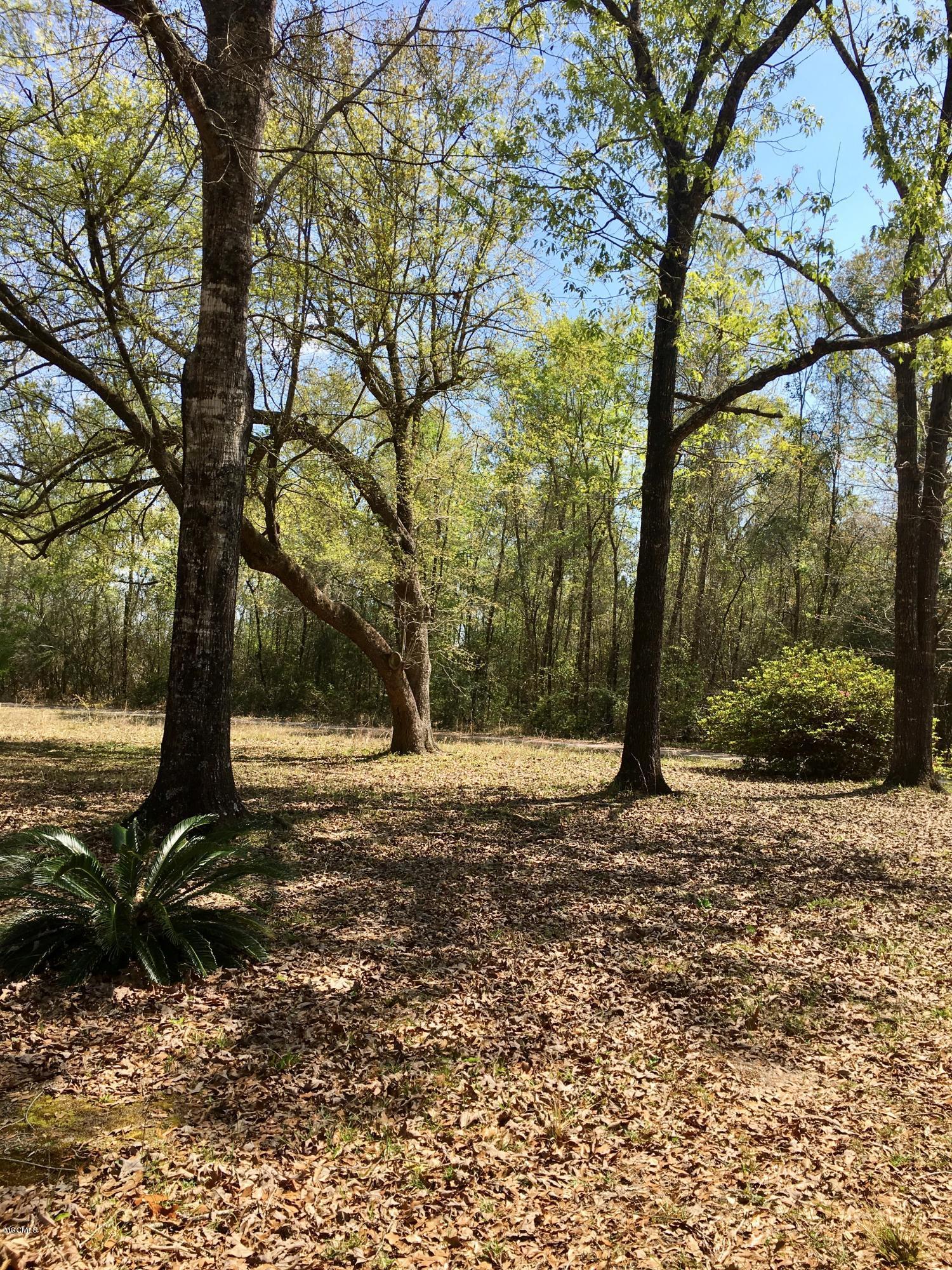19901 Larry Carter Road Moss Point, MS 39562 - Photo 11 of 12 yard 1