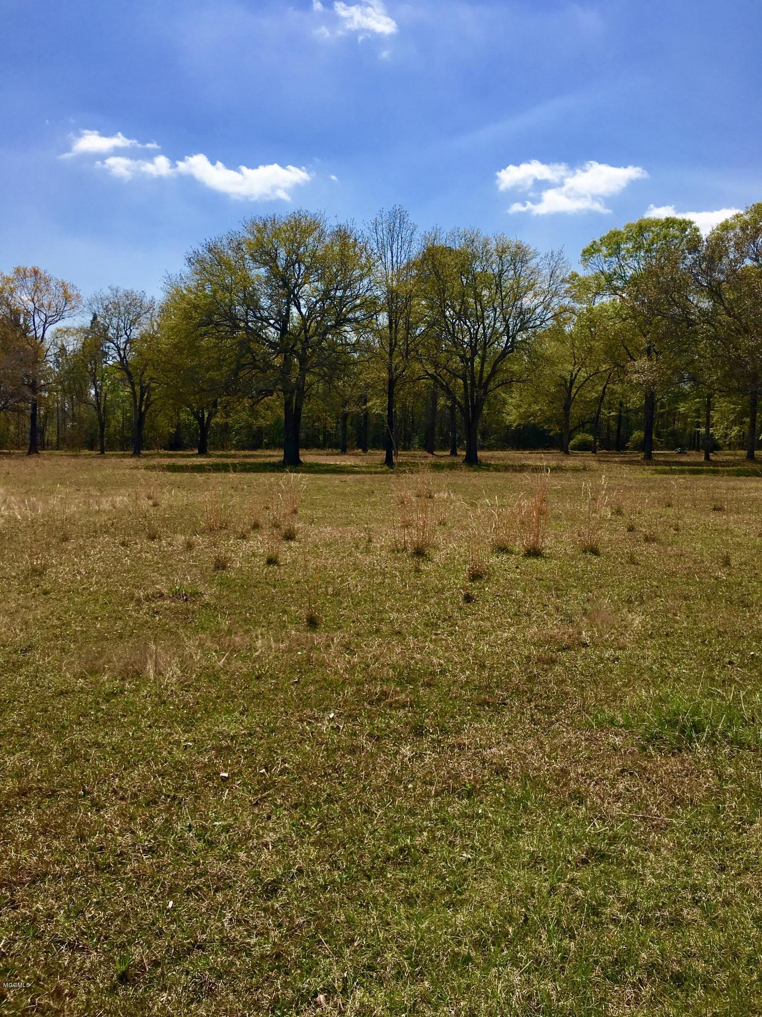 19901 Larry Carter Road Moss Point, MS 39562 - Photo 12 of 12 yard 2