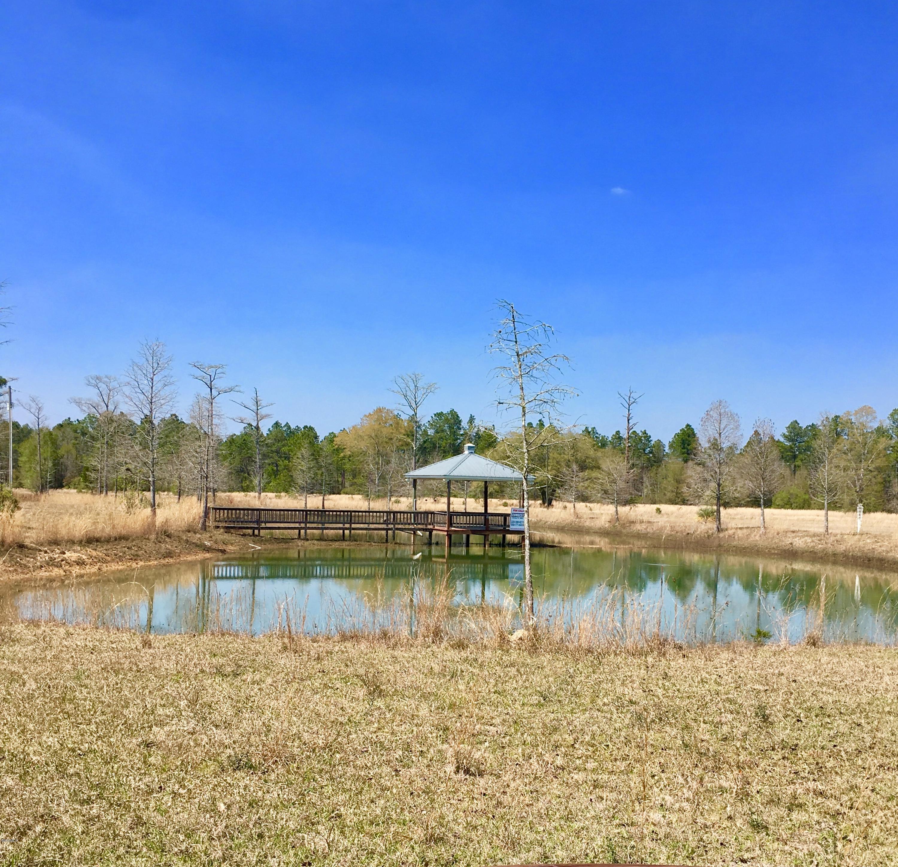 19901 Larry Carter Road Moss Point, MS 39562 - Photo 3 of 12 pond