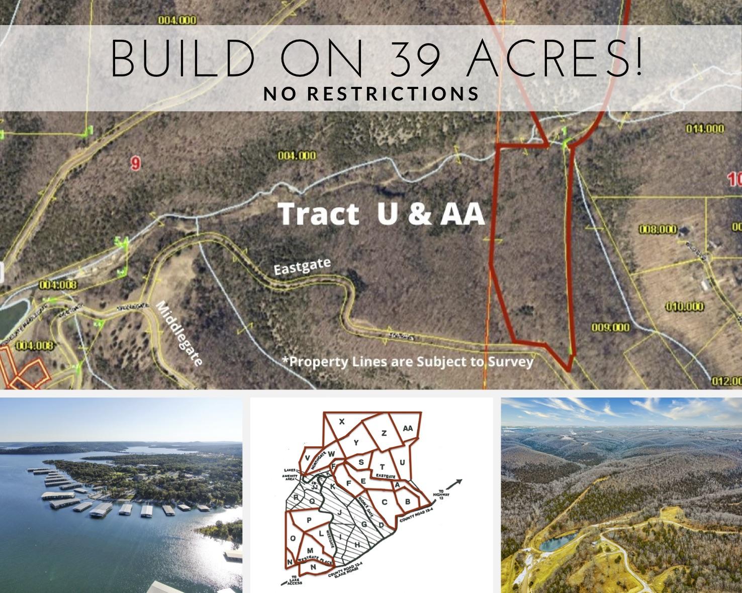 Tract Tract U & Aa Branson Reeds Spring, MO 65737 - Photo 1 of 1 Table Rock Lake Acreage
