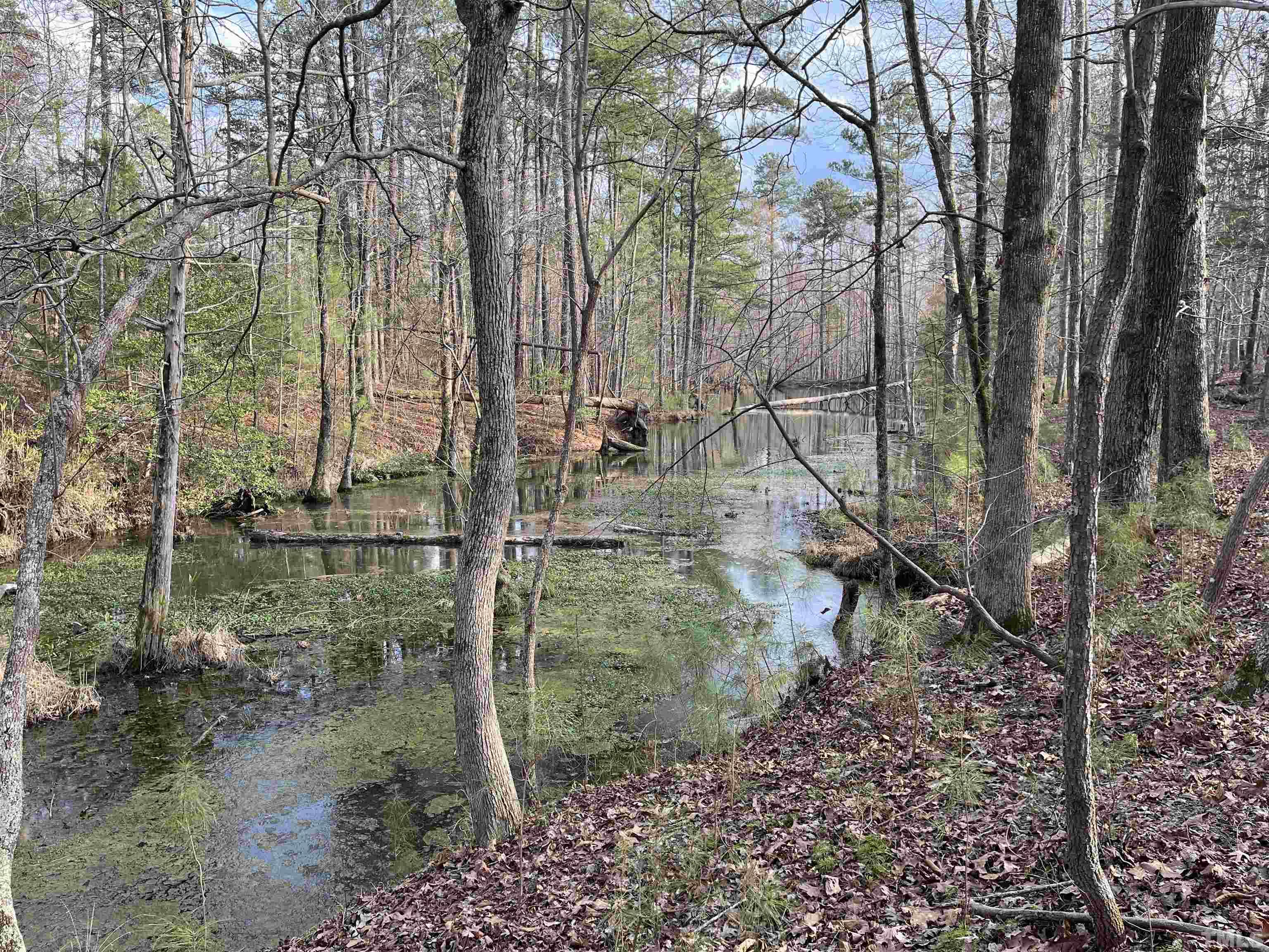 Lot 2-tbd) Peach Orchard Road Louisburg, NC 27549 - Photo 11 of 13