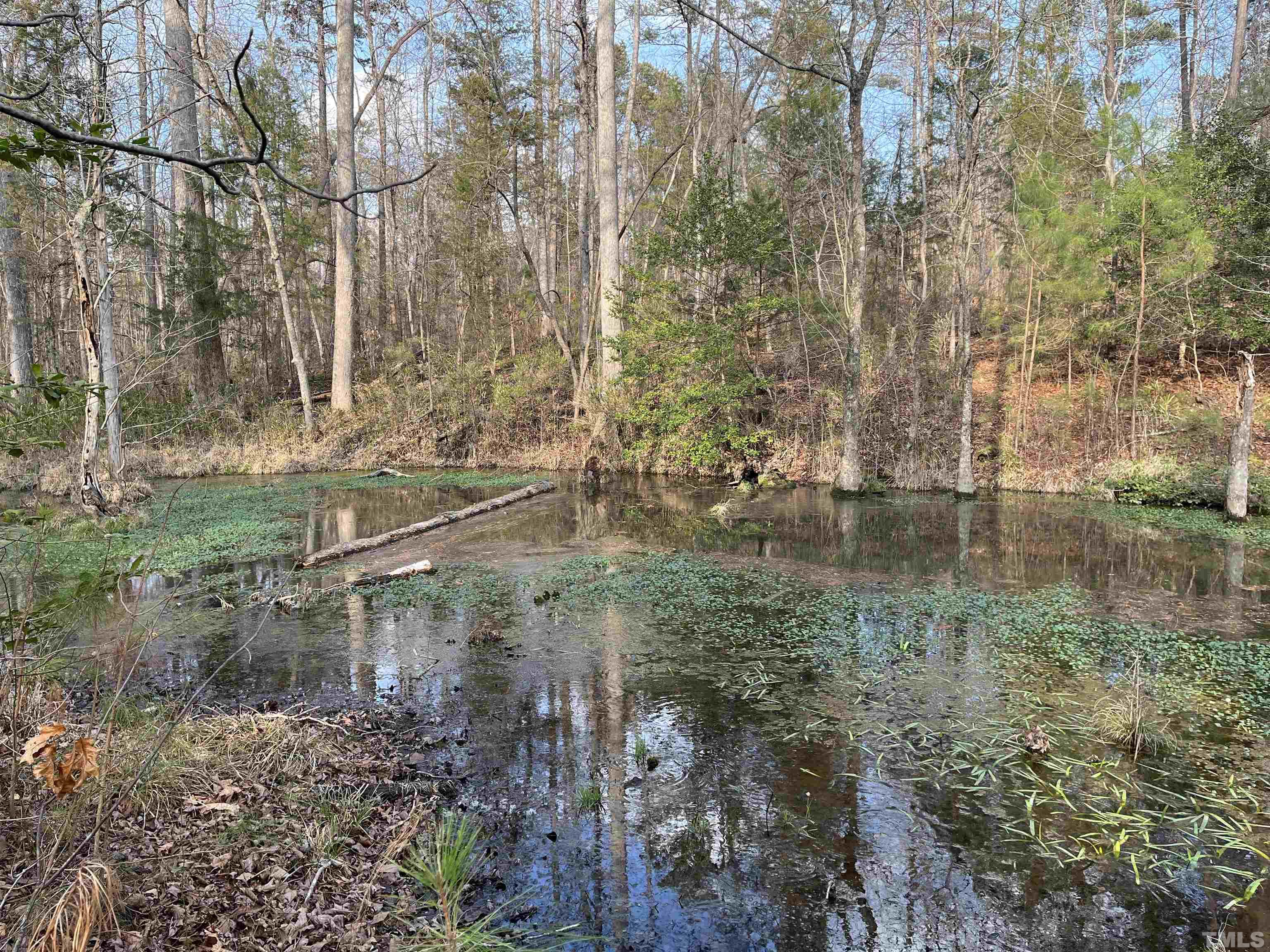 Lot 2-tbd) Peach Orchard Road Louisburg, NC 27549 - Photo 12 of 13