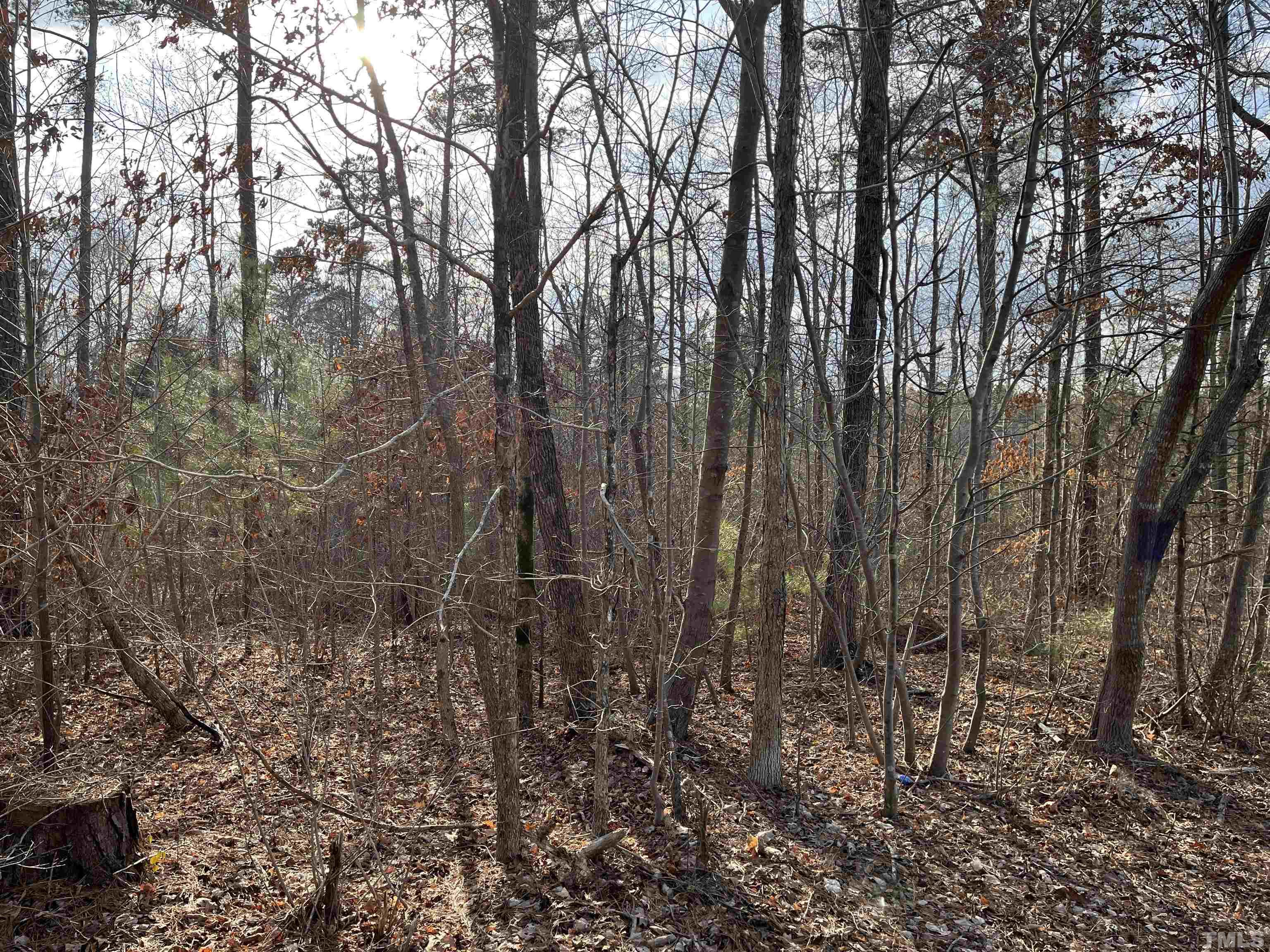 Lot 2-tbd) Peach Orchard Road Louisburg, NC 27549 - Photo 6 of 13