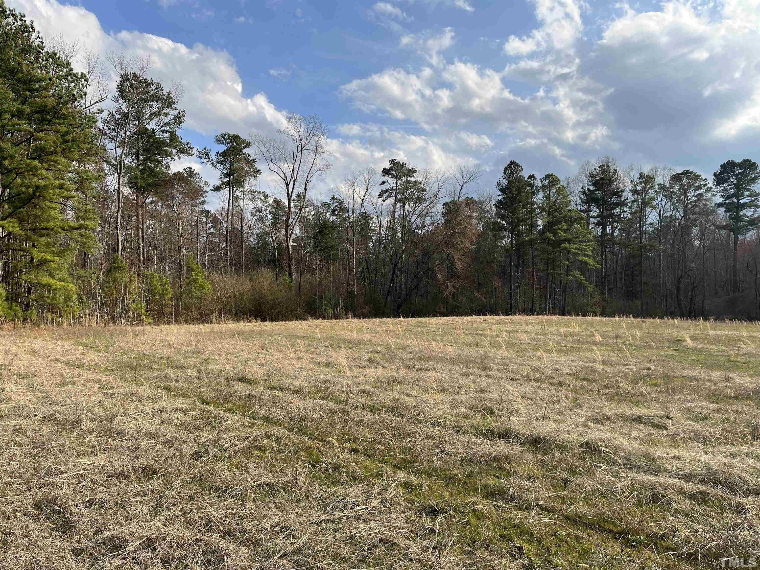 Lot 2-tbd) Peach Orchard Road Louisburg, NC 27549 - Photo 8 of 13