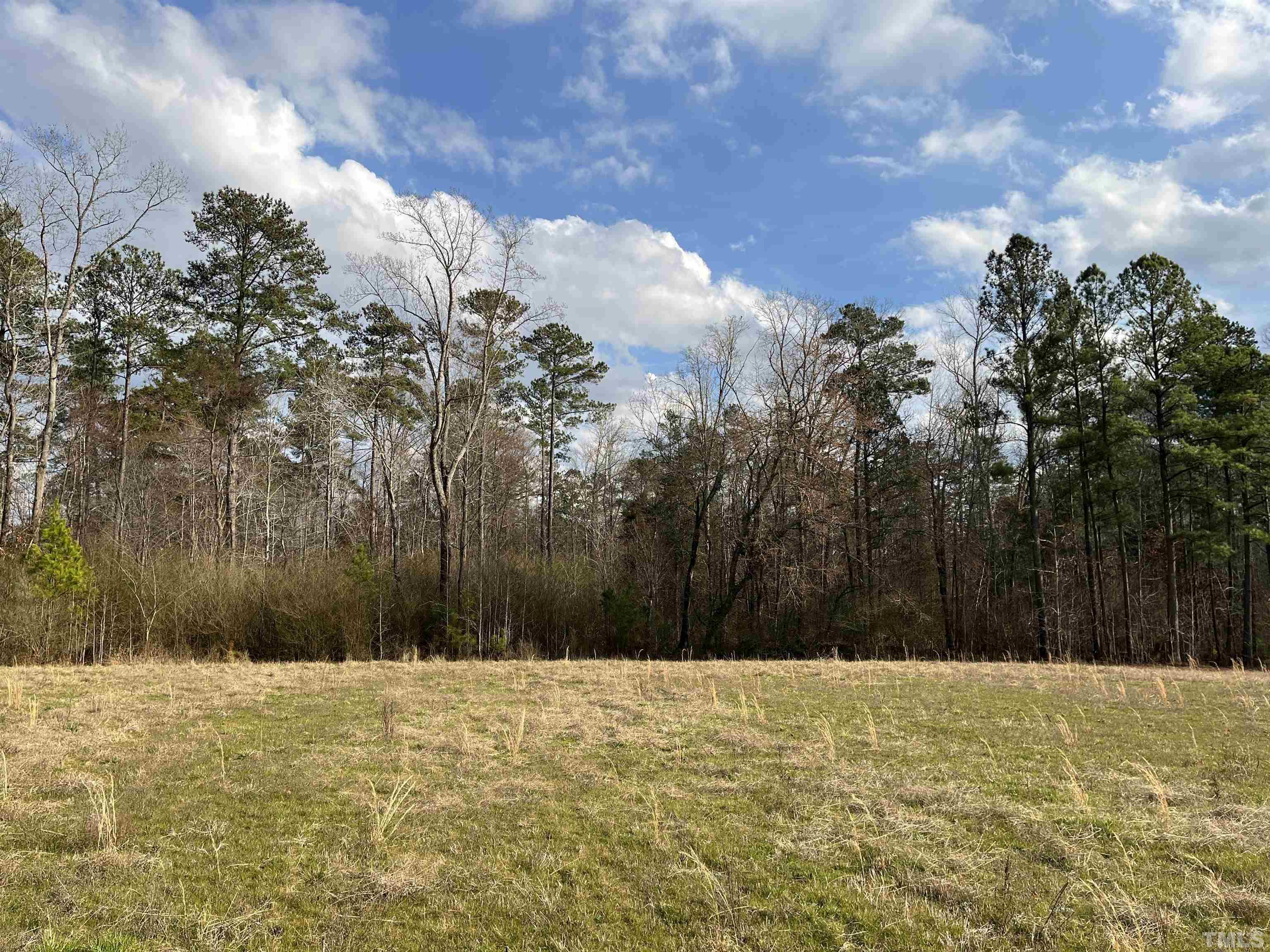 Lot 2-tbd) Peach Orchard Road Louisburg, NC 27549 - Photo 10 of 13