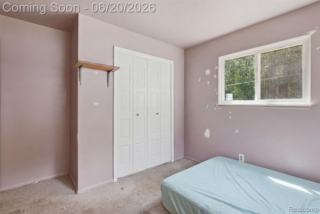 1699 Ditty Road Smiths Creek, MI 48074 - Photo 15 of 43