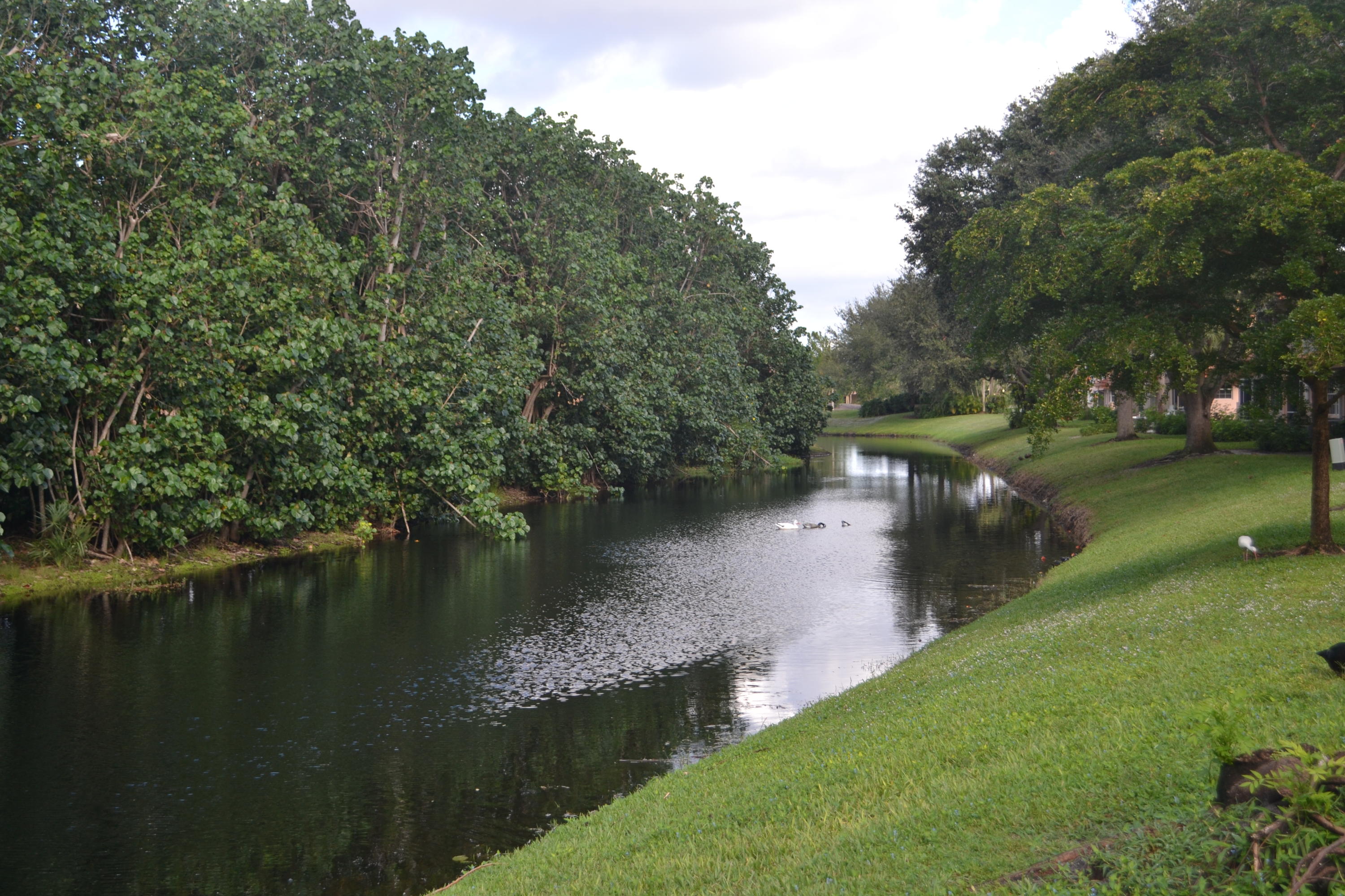 17270 Boca Club Boulevard, Unit 1704 Boca Raton, FL 33487 - Photo 14 of 30 DSC_0119