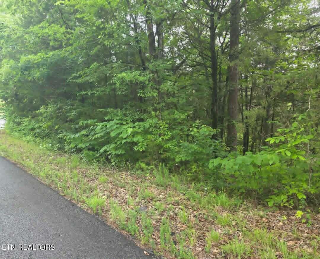 Buck Horn Road Sevierville, TN 37876 - Photo 8 of 9 download