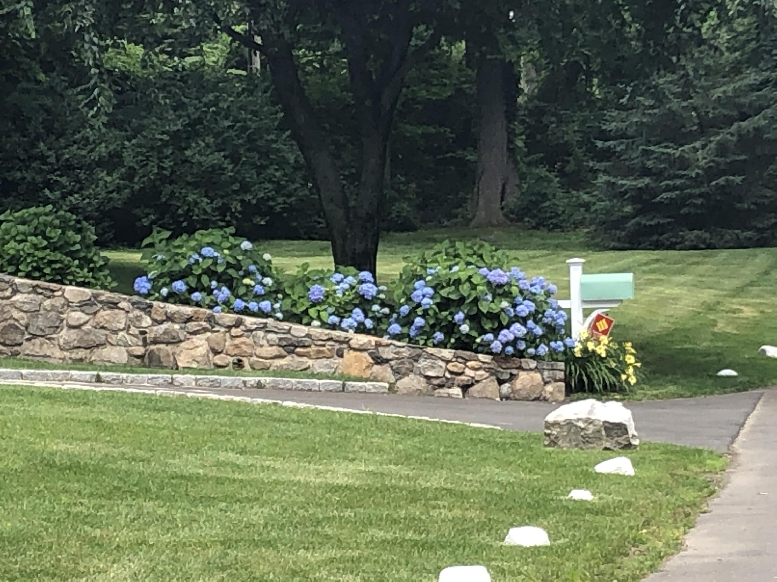 1 Fairmead Road Darien, CT 06820 - Photo 37 of 40 a garden with a bench in the garden
