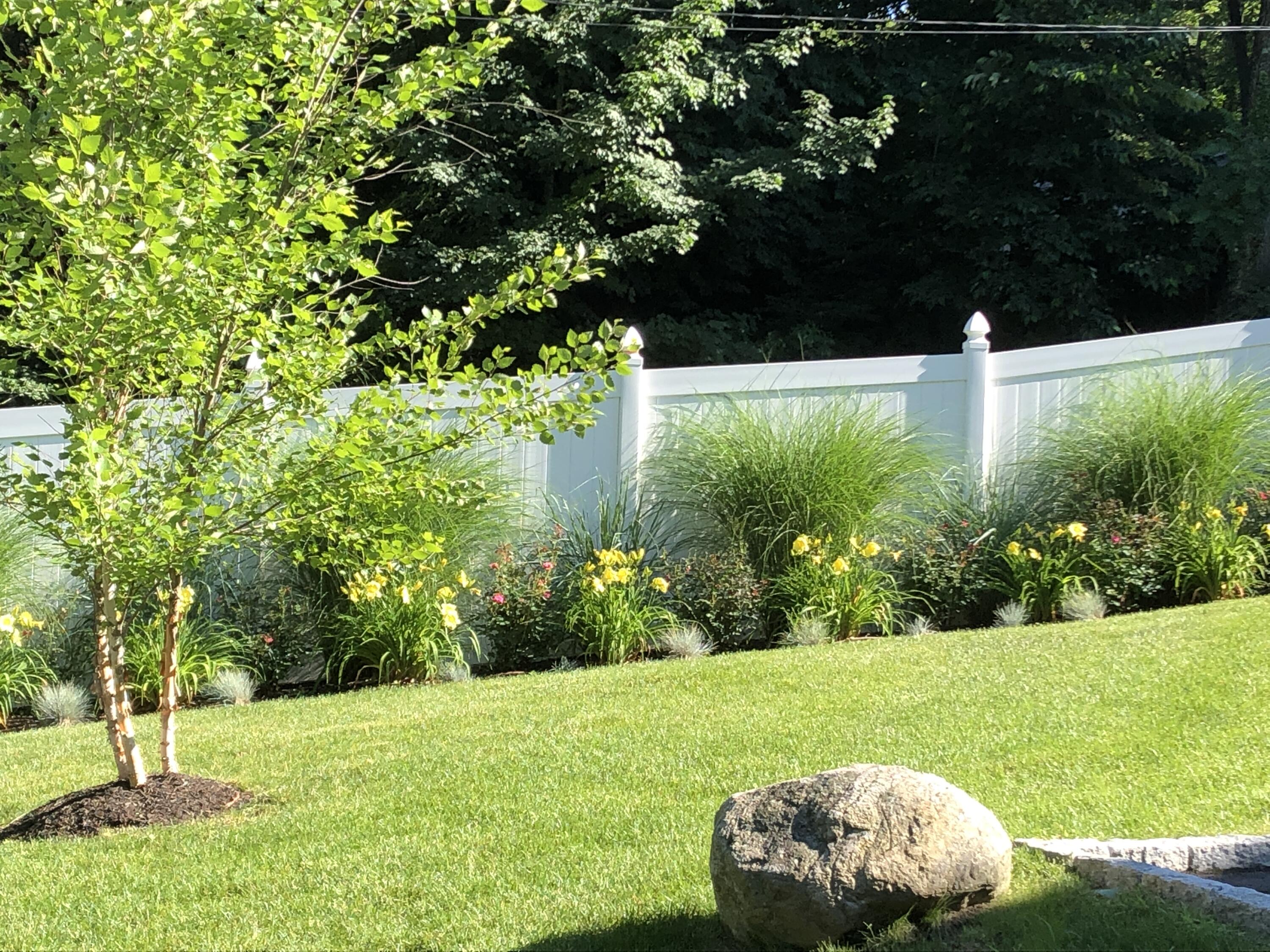 1 Fairmead Road Darien, CT 06820 - Photo 38 of 40 a view of a garden with a tree