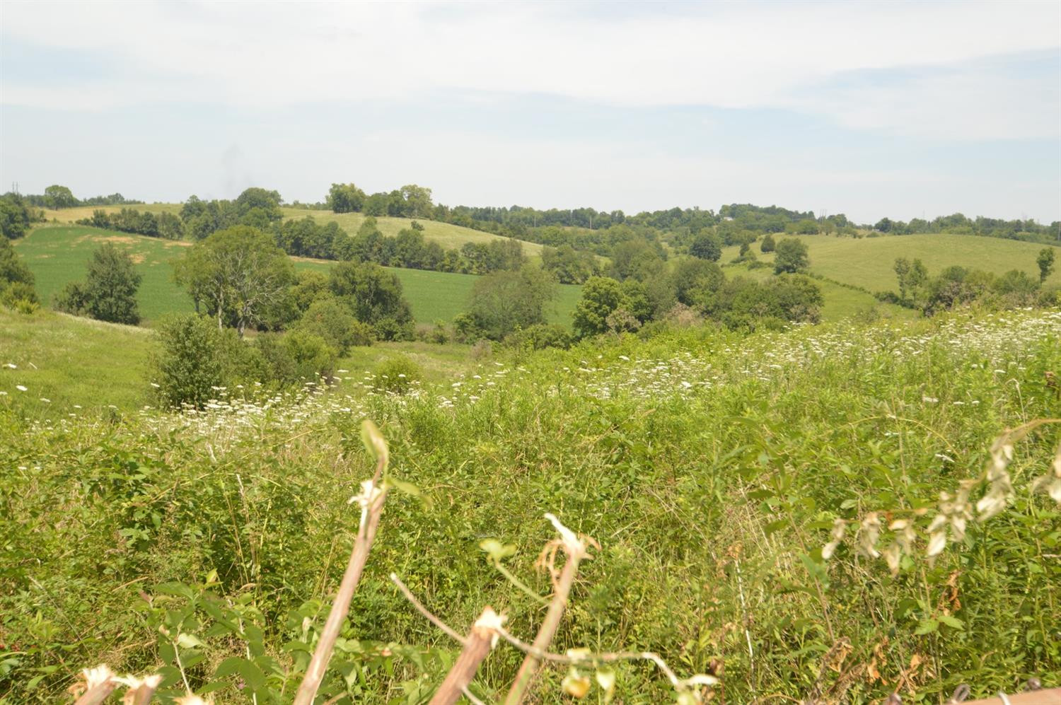 1680 Irvine Road Winchester, KY 40391 - Photo 12 of 12 Listing Photo