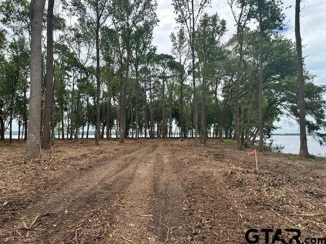 a view of outdoor space with trees