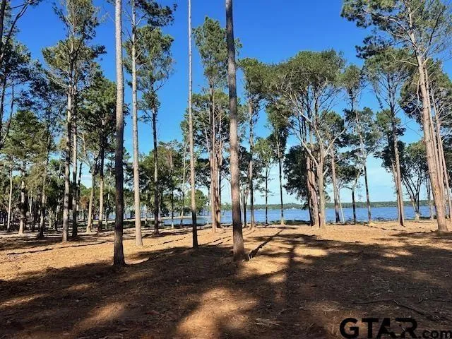 a view of road with trees