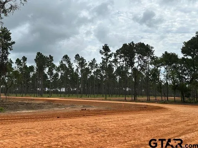 a view of a swimming pool with a yard