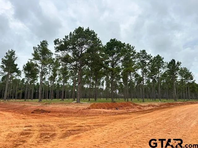a view of swimming pool and trees in the background
