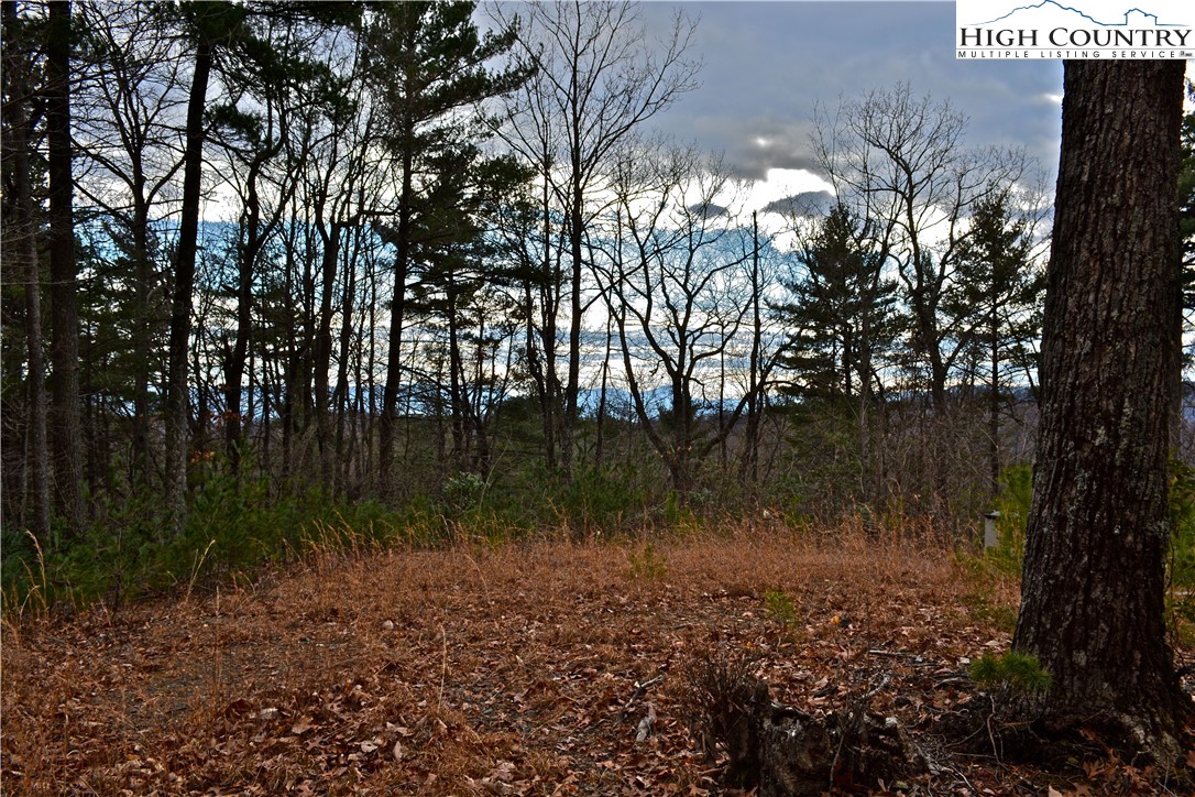 Lot 6 Green Ridge Road Deep Gap, NC 28618 - Photo 11 of 40 Gallery Image 11