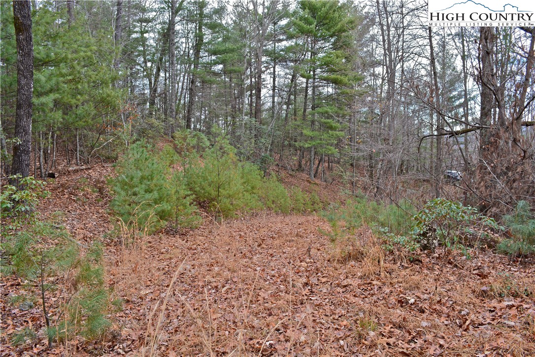Lot 6 Green Ridge Road Deep Gap, NC 28618 - Photo 12 of 40 Gallery Image 12