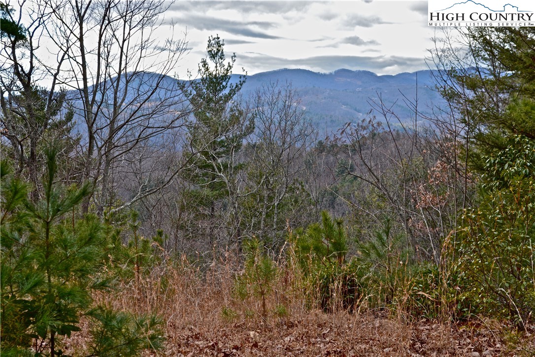 Lot 6 Green Ridge Road Deep Gap, NC 28618 - Photo 13 of 40 Gallery Image 13