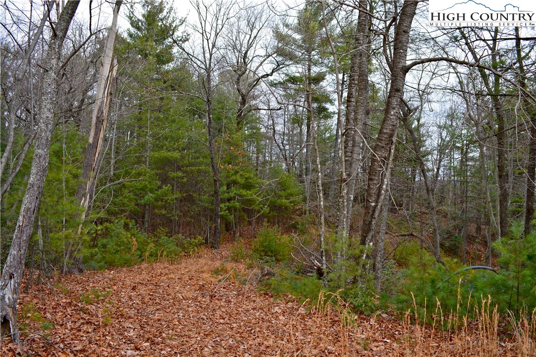Lot 6 Green Ridge Road Deep Gap, NC 28618 - Photo 14 of 40 Gallery Image 14