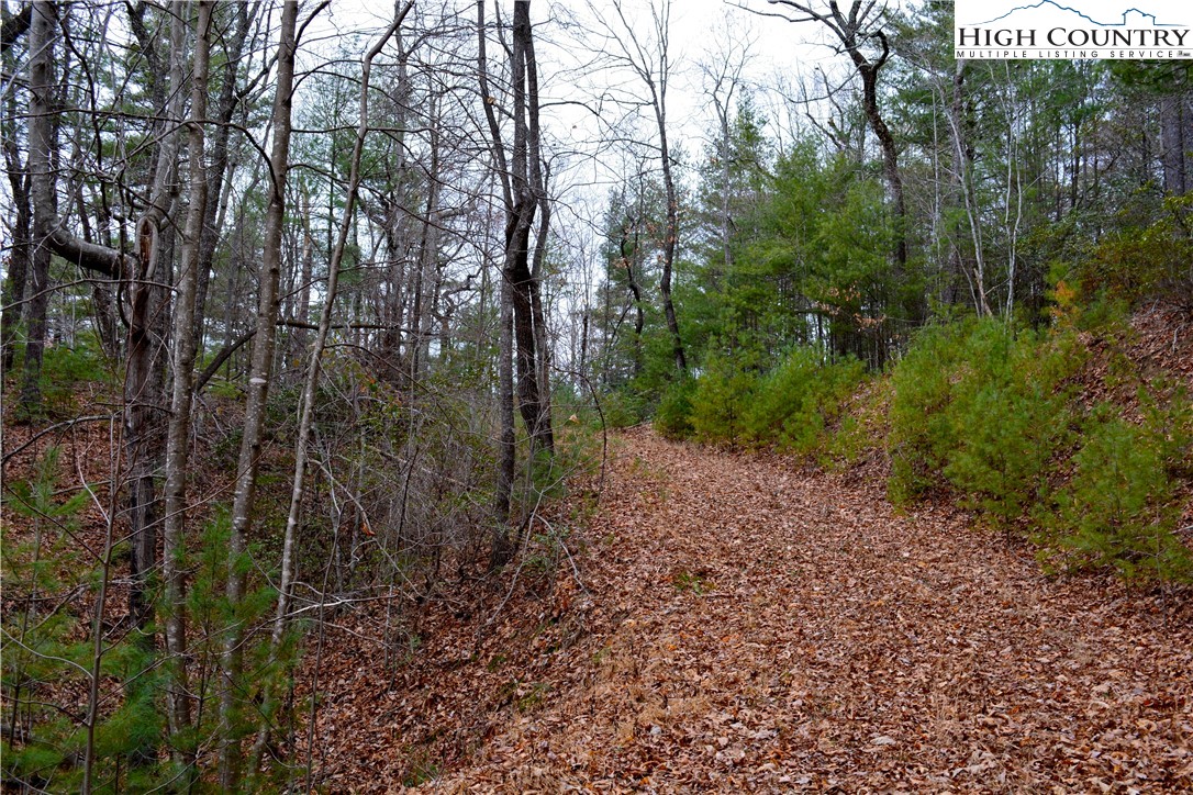 Lot 6 Green Ridge Road Deep Gap, NC 28618 - Photo 17 of 40 Gallery Image 17
