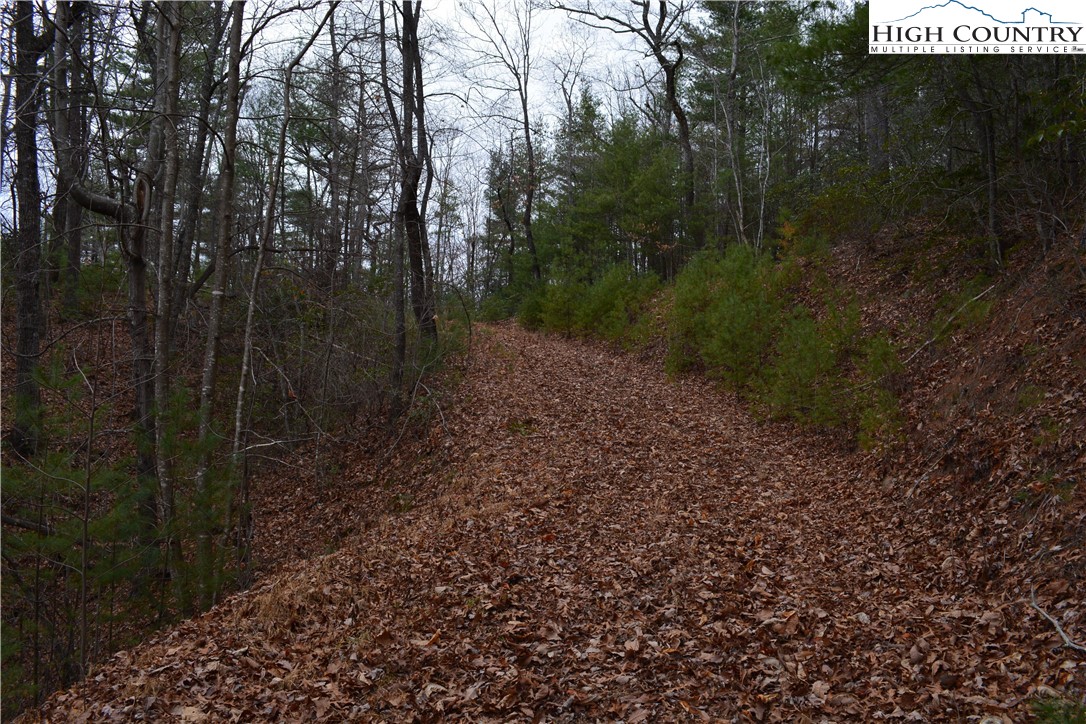 Lot 6 Green Ridge Road Deep Gap, NC 28618 - Photo 18 of 40 Gallery Image 18