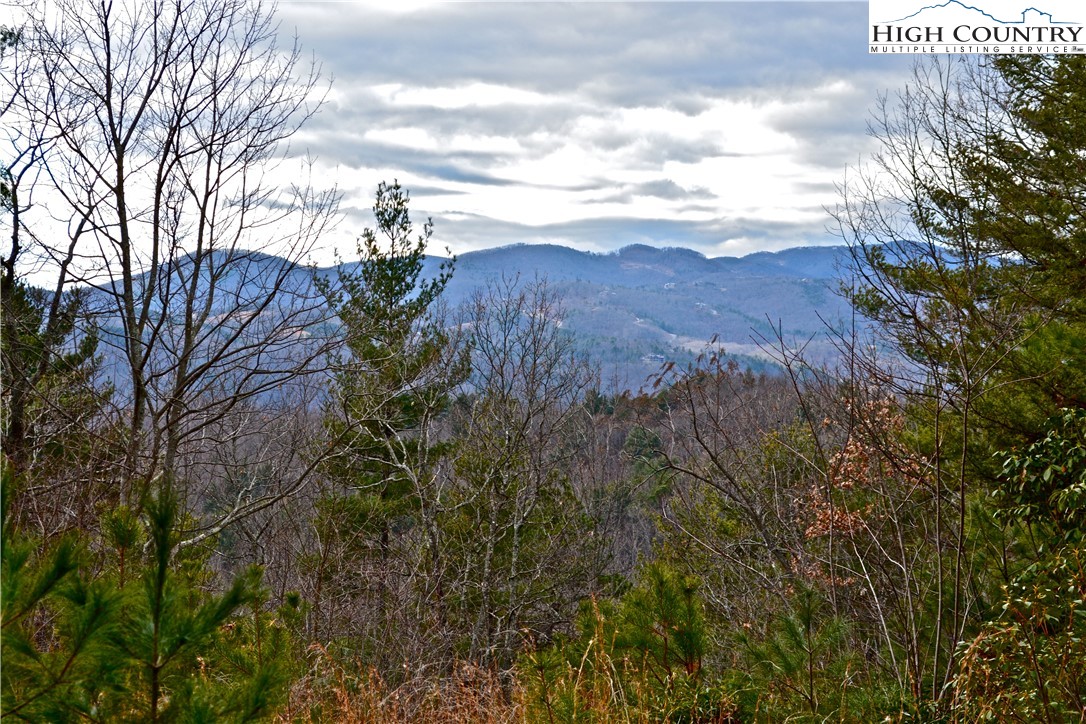 Lot 6 Green Ridge Road Deep Gap, NC 28618 - Photo 2 of 40 Gallery Image 2