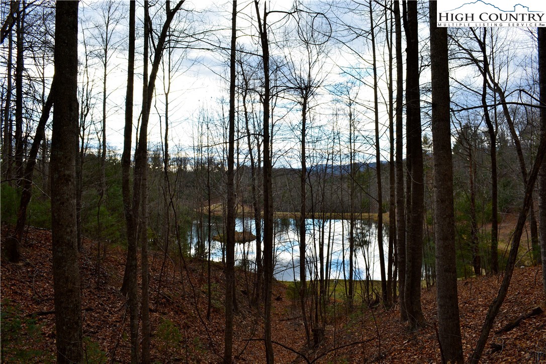 Lot 6 Green Ridge Road Deep Gap, NC 28618 - Photo 21 of 40 Gallery Image 21