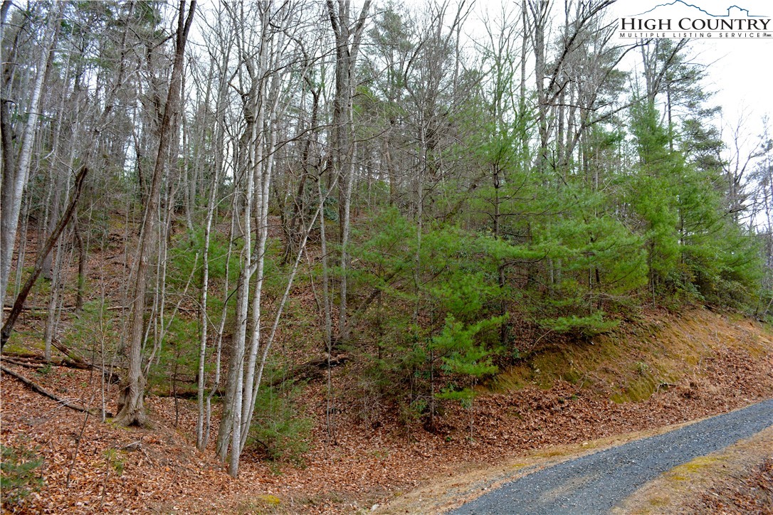 Lot 6 Green Ridge Road Deep Gap, NC 28618 - Photo 22 of 40 Gallery Image 22